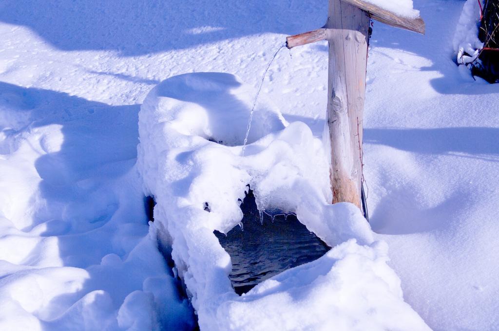Alpenroesle Διαμέρισμα Balderschwang Εξωτερικό φωτογραφία
