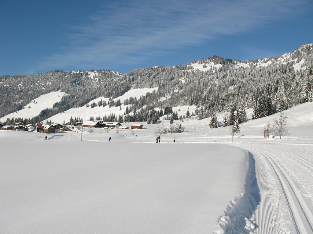 Alpenroesle Διαμέρισμα Balderschwang Εξωτερικό φωτογραφία